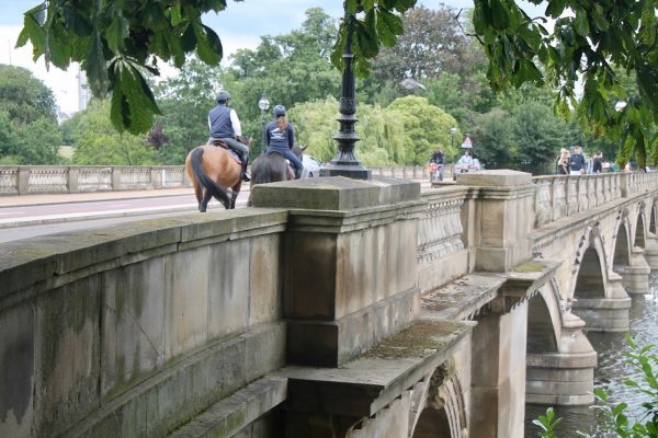Hyde Park Stables