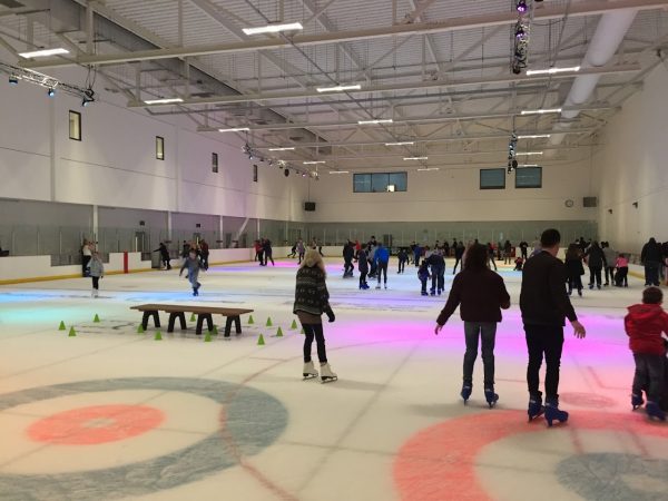 Ice Arena Wales