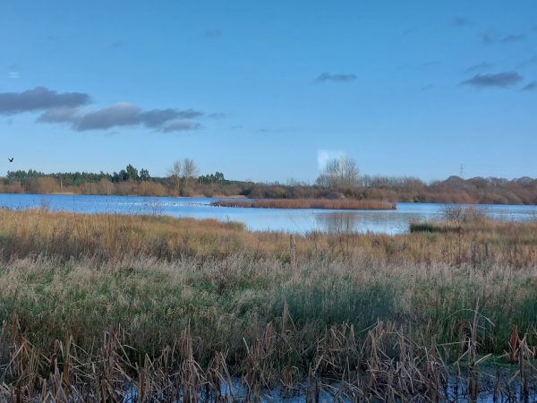 Idle Valley
