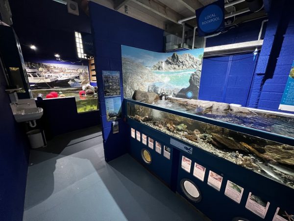 Ilfracombe Aquarium
