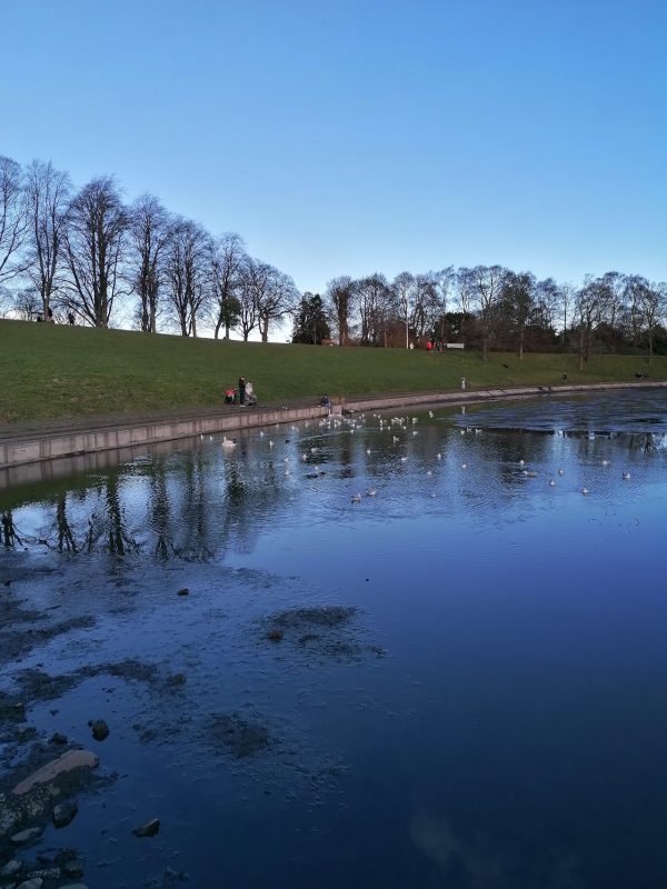 Inverleith Park