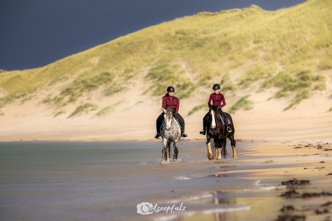 Island View Riding Stables