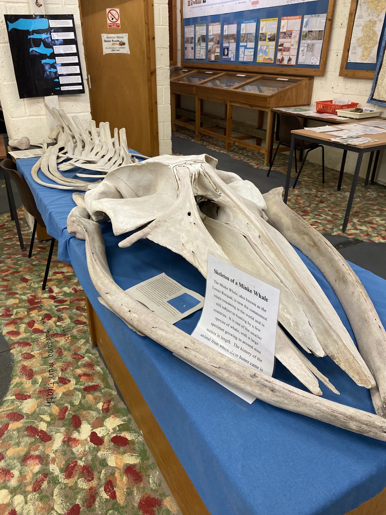 Islay Natural History Trust