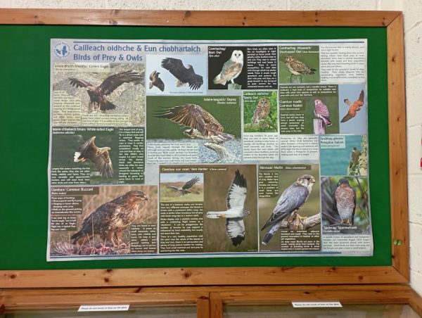 Islay Natural History Trust