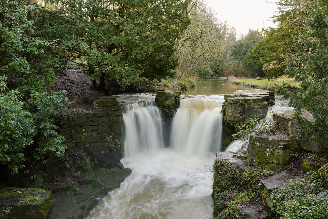 Jesmond Dene Newcastle