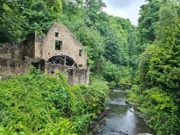 Jesmond Dene Newcastle