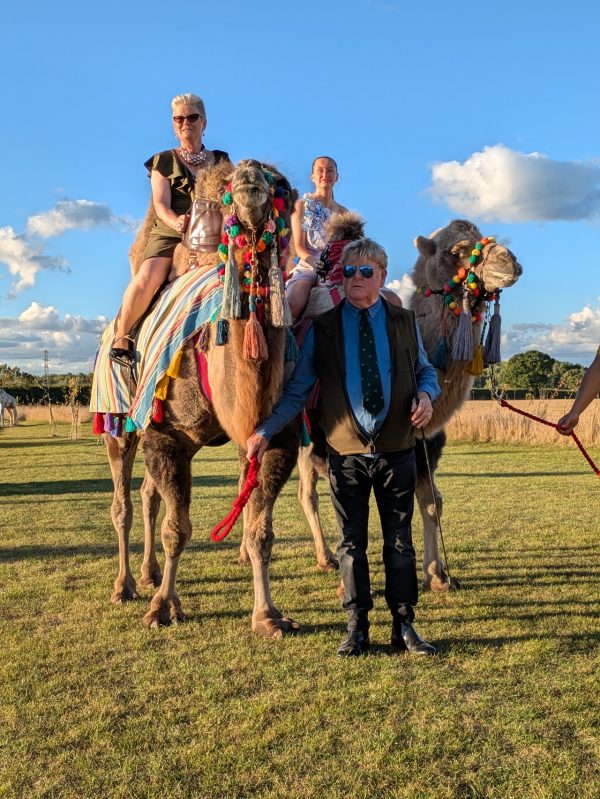 Josephs Amazing Camels