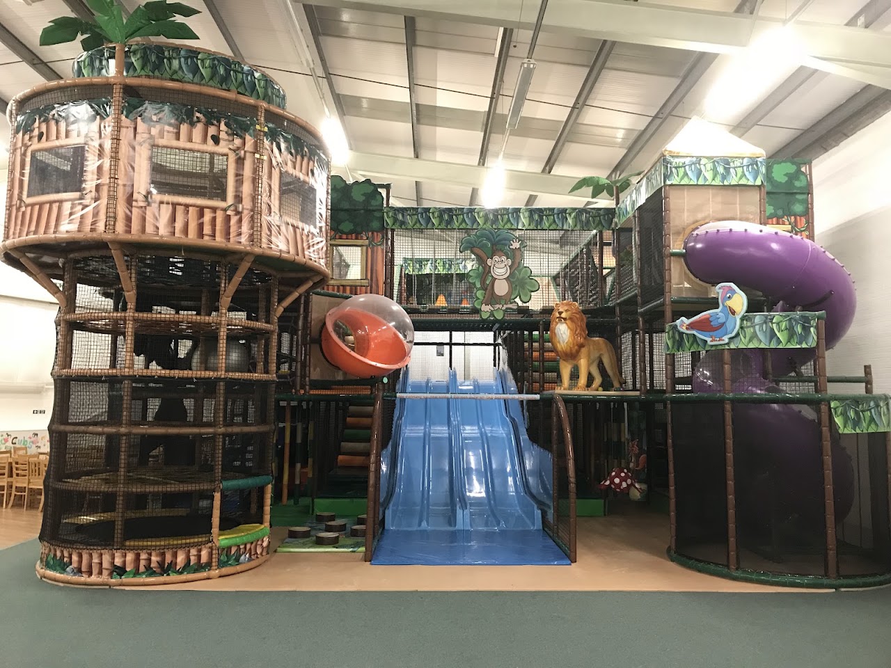 Jungle Kingdom Swindon