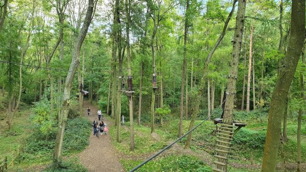 Jungle Parc Northampton