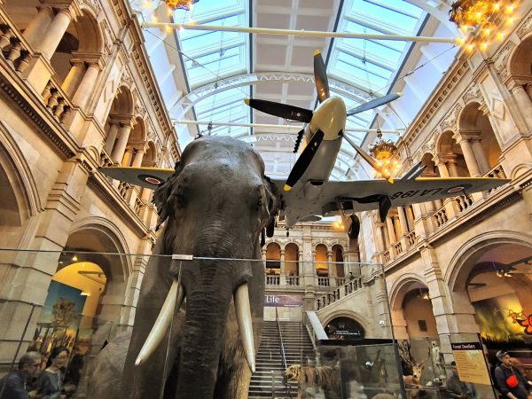 Kelvingrove Art Gallery and Museum