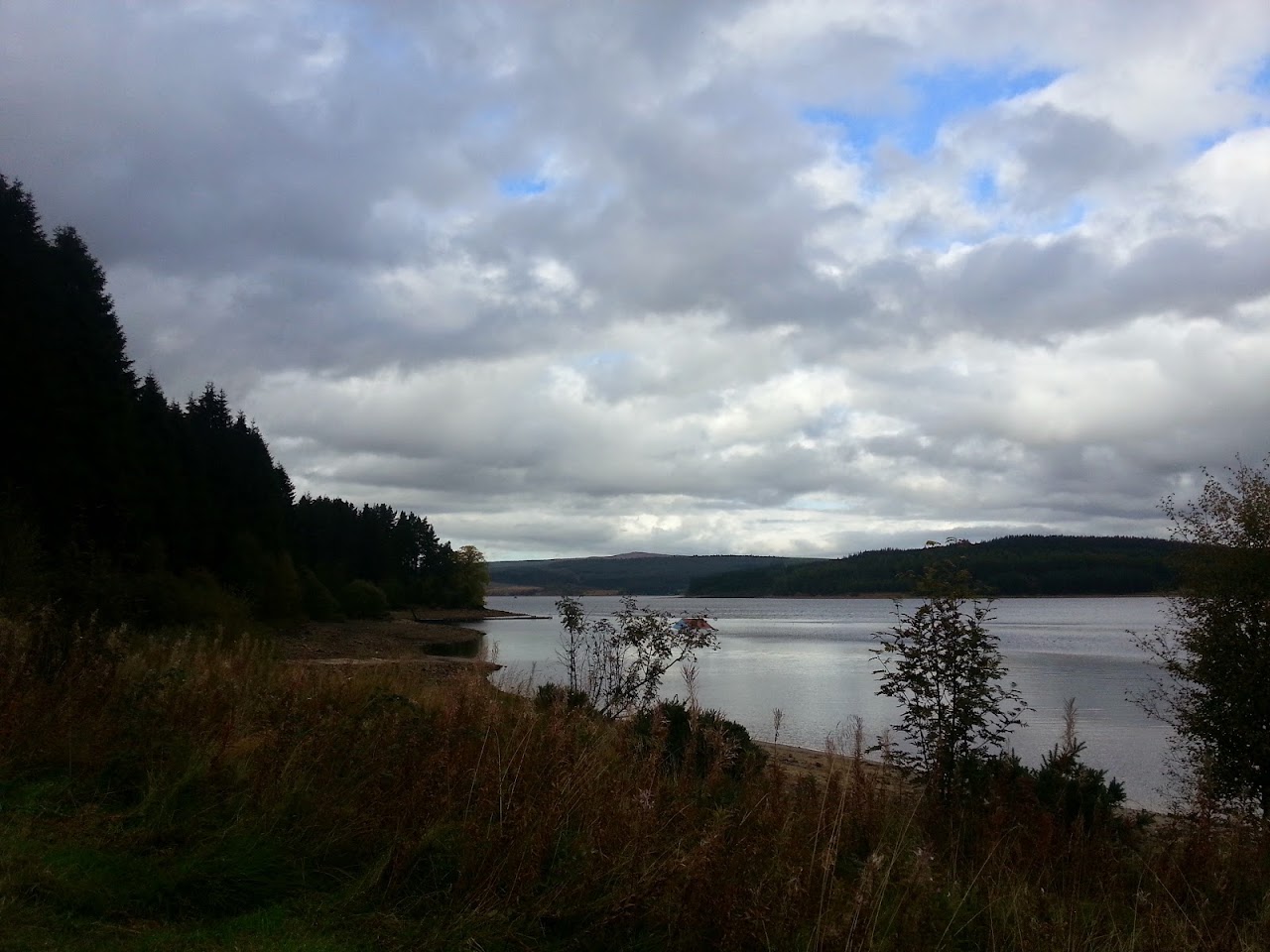 Kielder Water Bird of Prey Centre