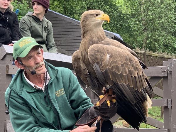 Kielder Water Bird of Prey Centre
