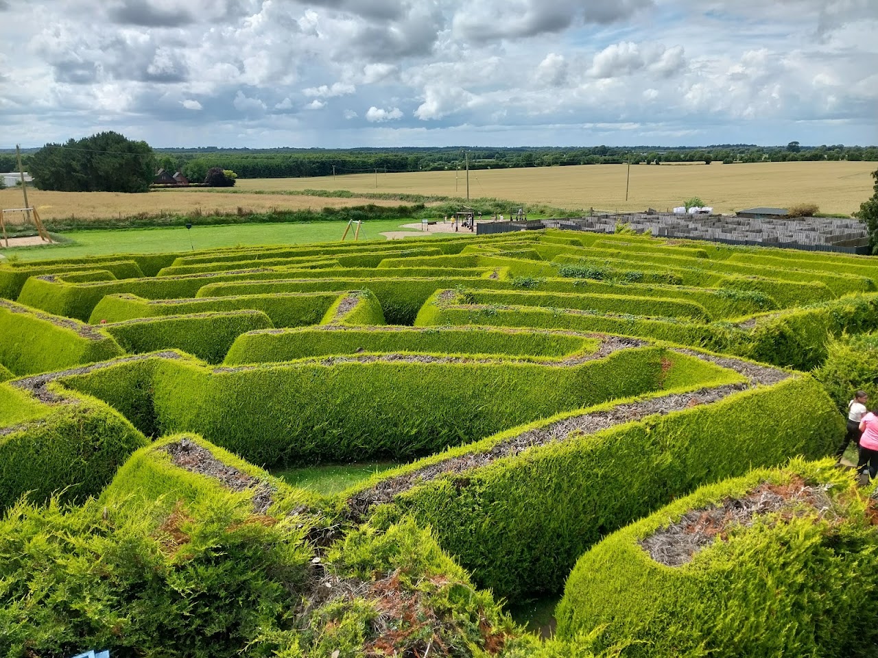 Kildare Maze