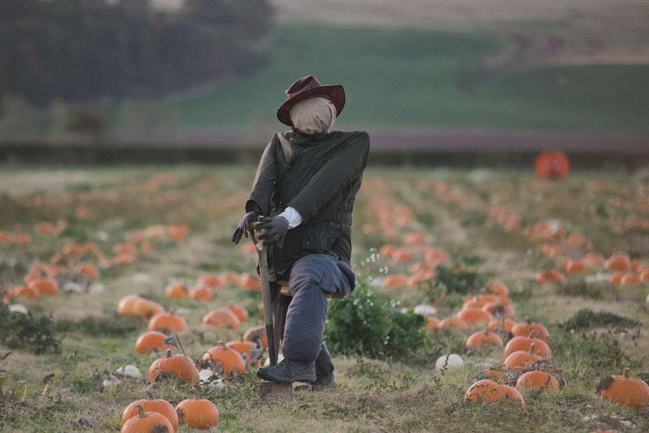 Kilduff Farm Pumpkin Festival 2023
