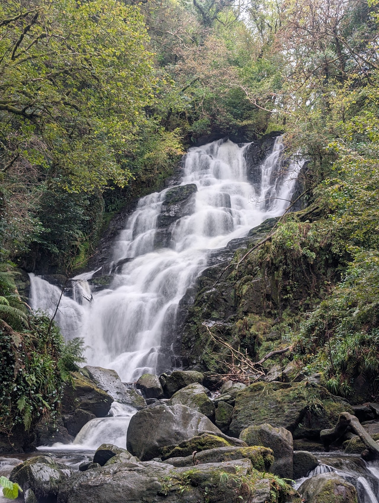 Killarney National Park