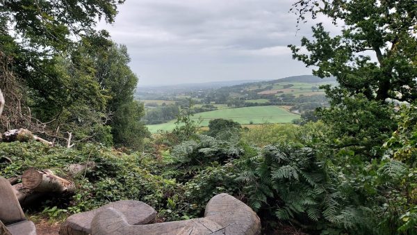 Killerton