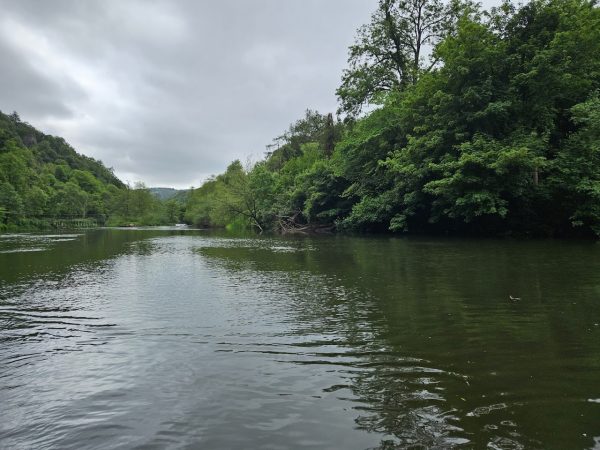 Kingfisher River Cruises