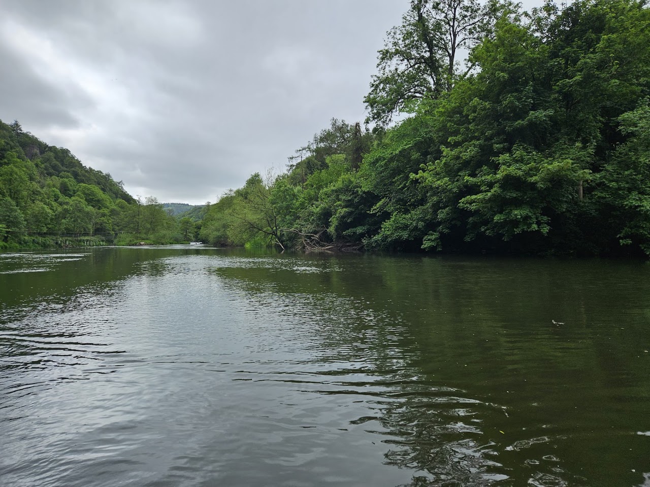 Kingfisher River Cruises