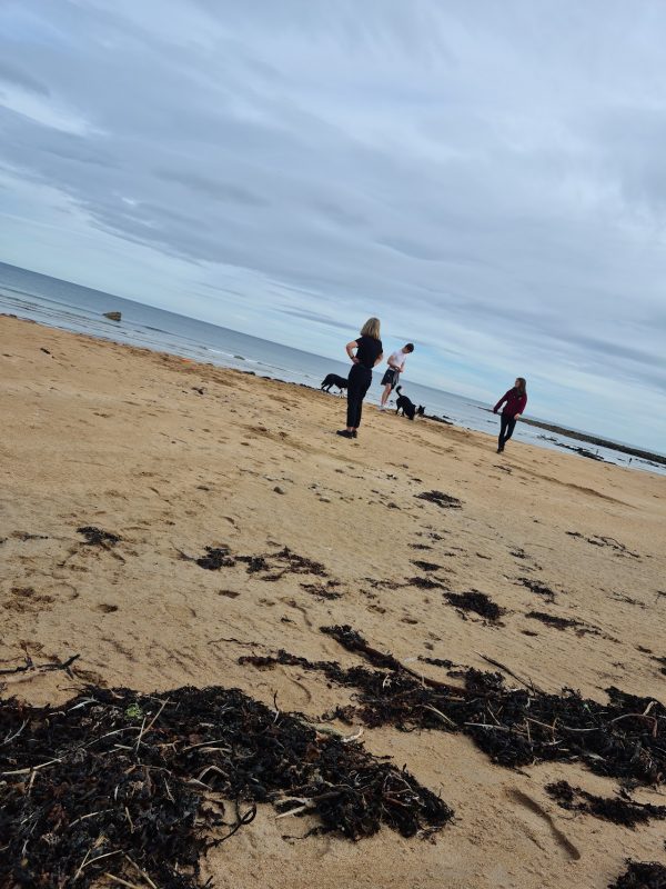 Kingsbarns Beach