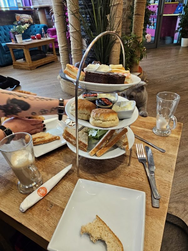 Kitty Cafe Leeds