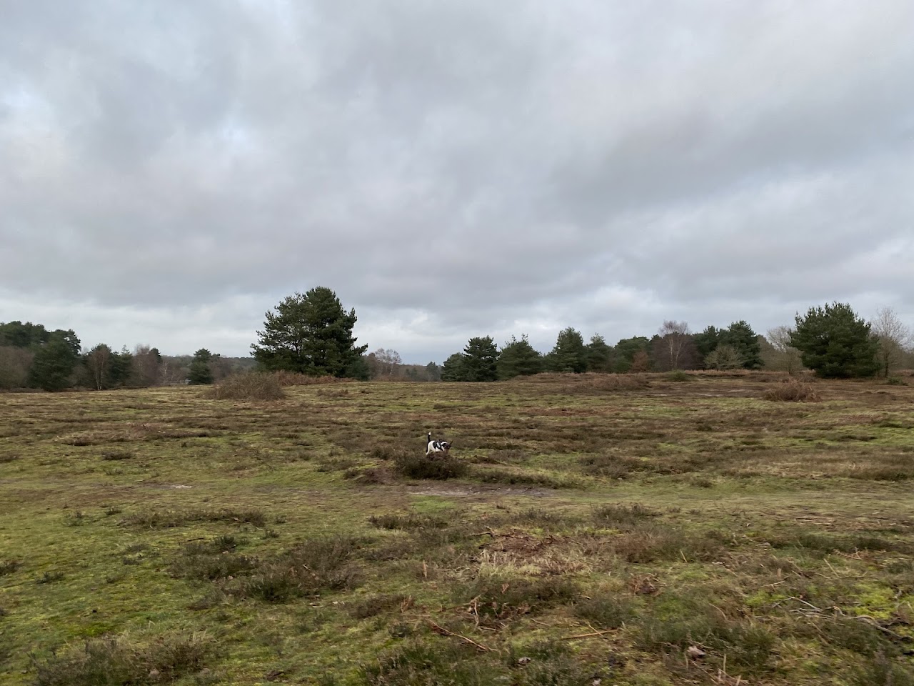 Knettishall Heath Country Park