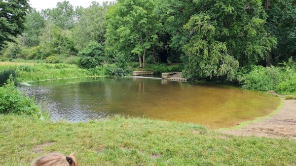 Knettishall Heath Country Park