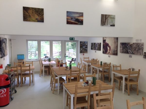Laggan Wolftrax Centre