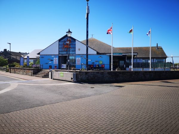 Lake District Coast Aquarium