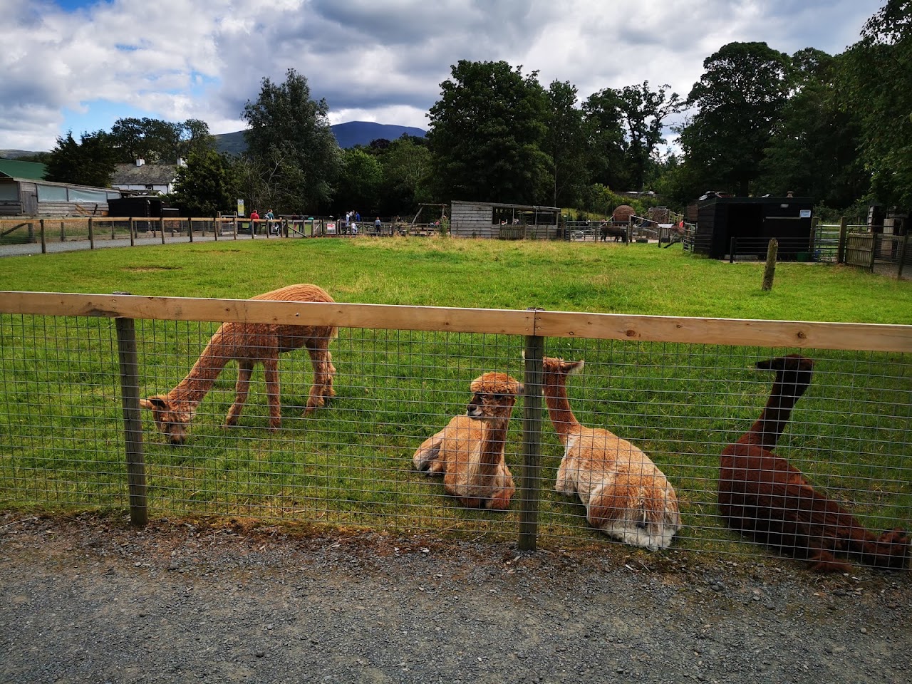 Lake District Wildlife Park