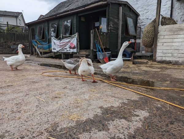Lamont Farm Project