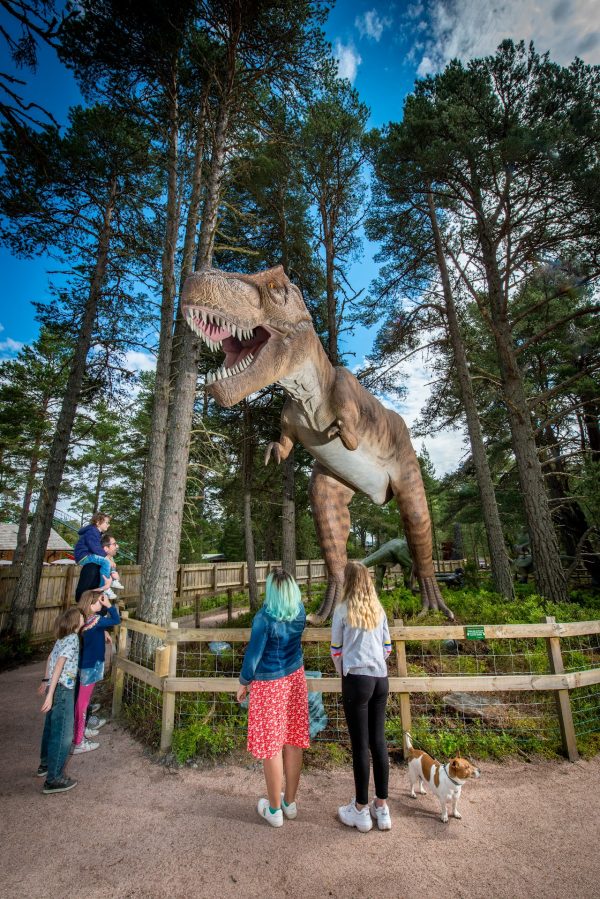 Landmark Forest Adventure Park