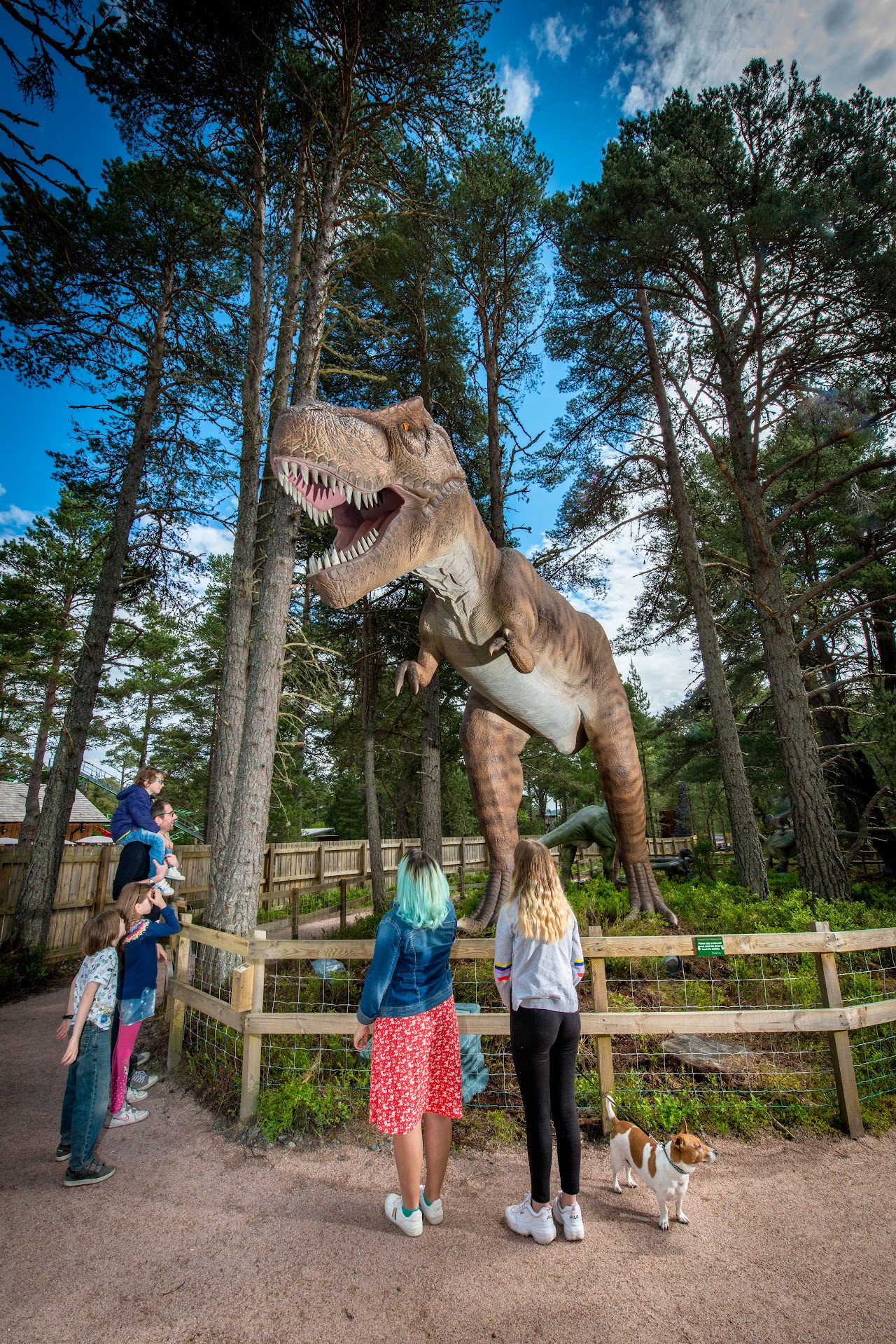 Landmark Forest Adventure Park
