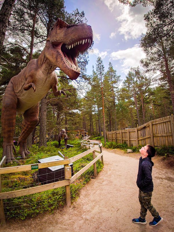 Landmark Forest Adventure Park