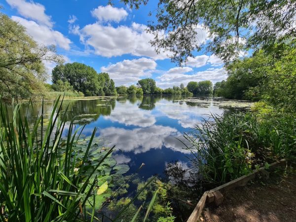 Langford Lakes Nature Reserve