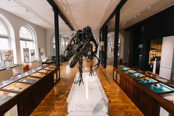Lapworth Museum of Geology