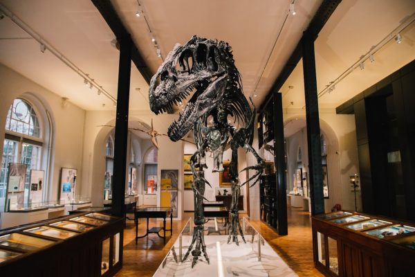 Lapworth Museum of Geology
