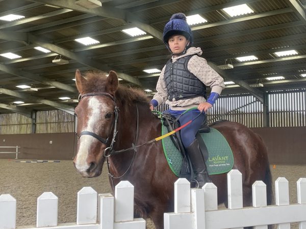 Lavant House Stables