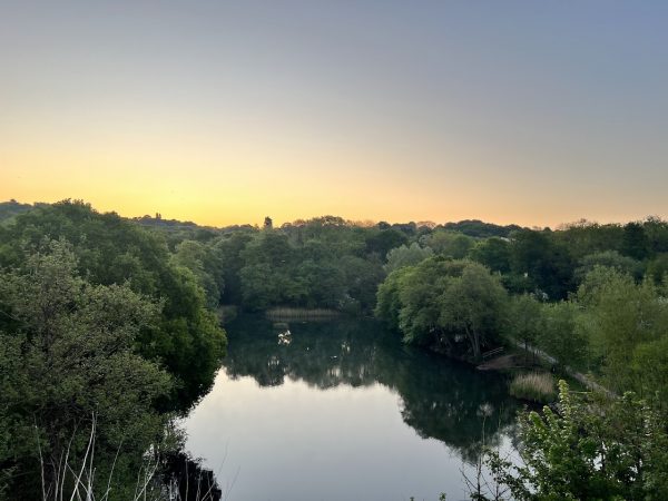 Leasowes Park