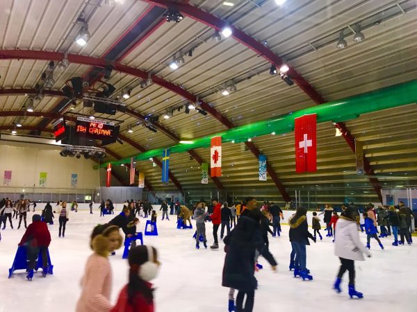 Lee Valley Ice Centre