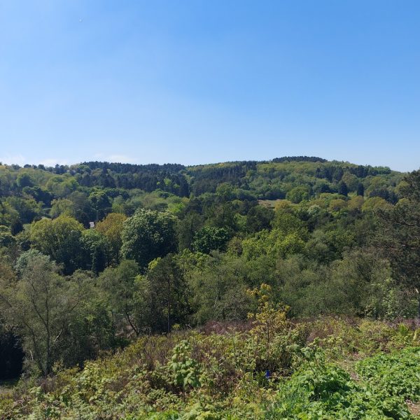 Lickey Hills Country Park