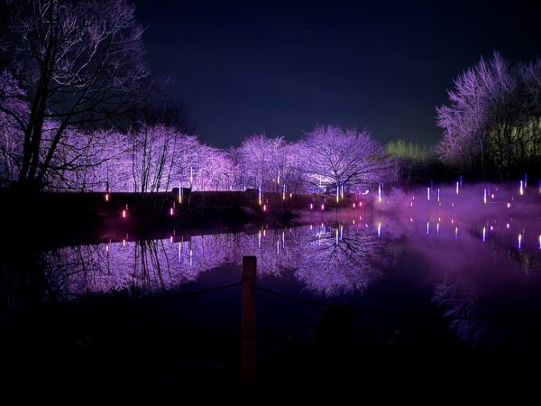 Light Cycles