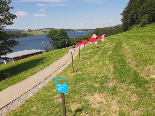 Llandegfedd Lake