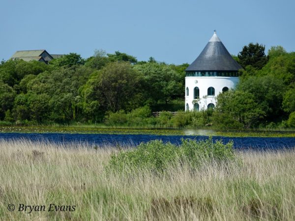 Llyn Llech Owain Country Park