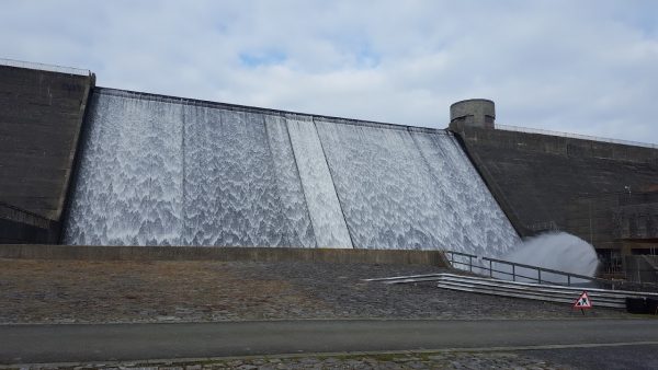 Llys- Y- Fran Lake