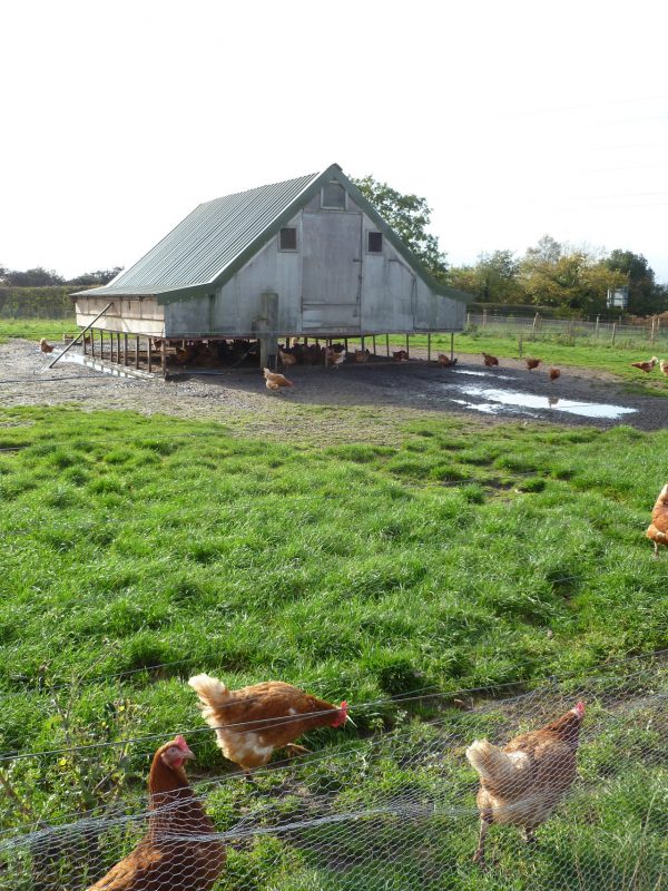 Lockey Farm