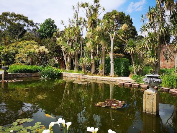 Logan Botanic Garden