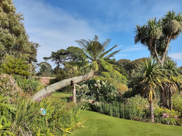 Logan Botanic Garden