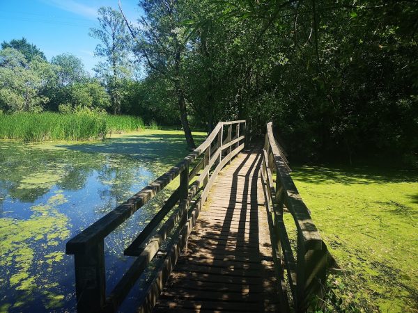 Long Melford Country Park