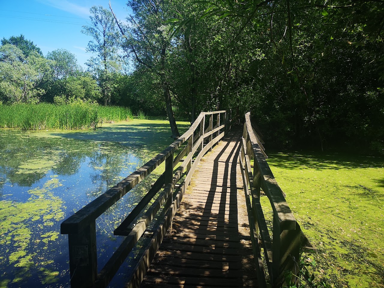 Long Melford Country Park