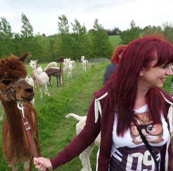 Lucky Tails Alpaca Farm